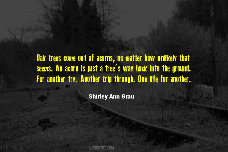 Shirley Ann Grau Quotes #756160