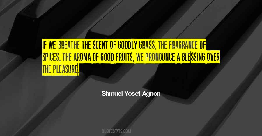 Shmuel Yosef Agnon Quotes #904052