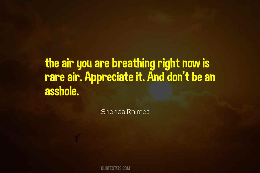 Shonda Rhimes Quotes #596134