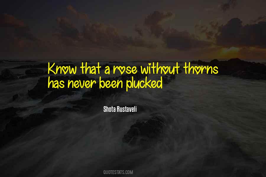 Shota Rustaveli Quotes #906512 Shota Rustaveli Quotes #906512