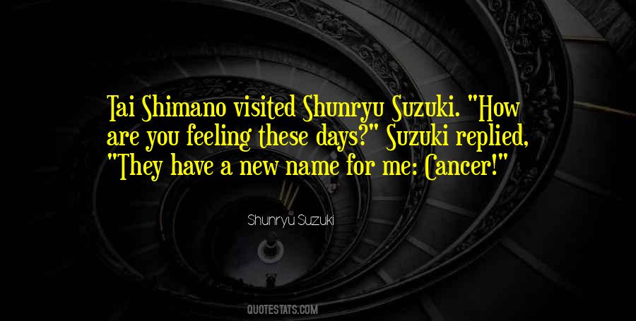 Shunryu Suzuki Quotes #1151549