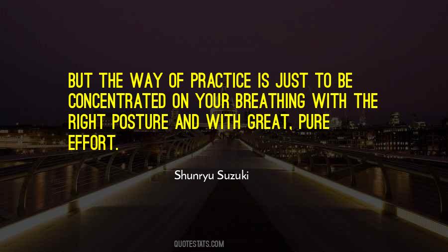 Shunryu Suzuki Quotes #564791