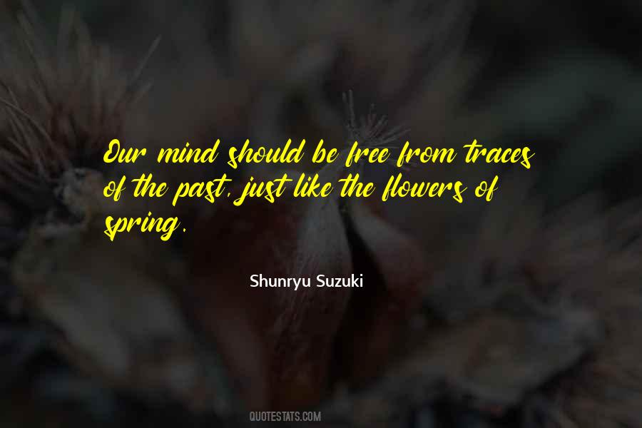 Shunryu Suzuki Quotes #670905