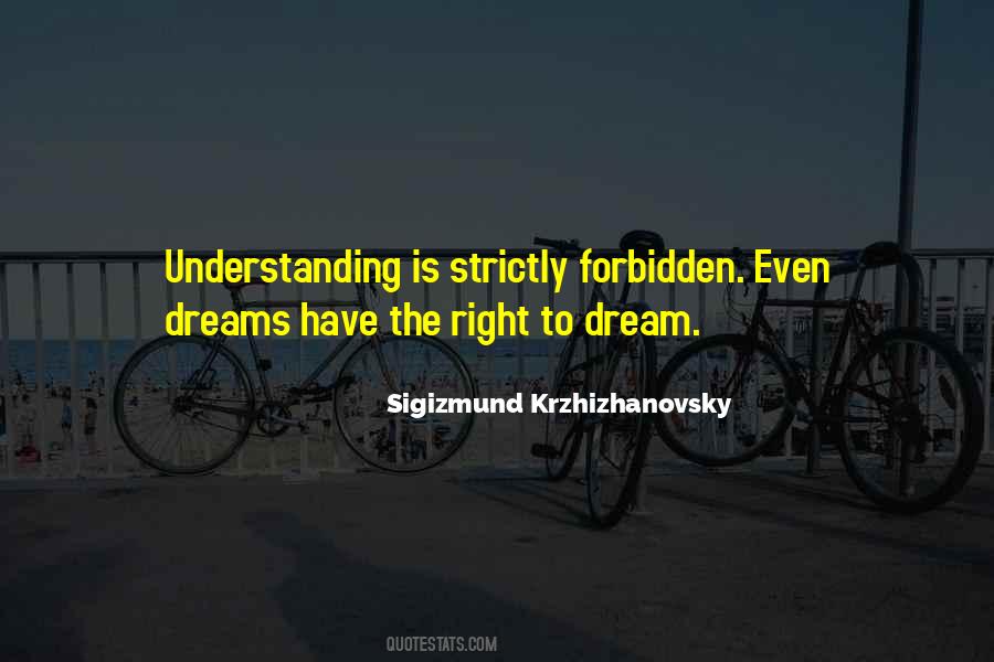 Sigizmund Krzhizhanovsky Quotes #955670