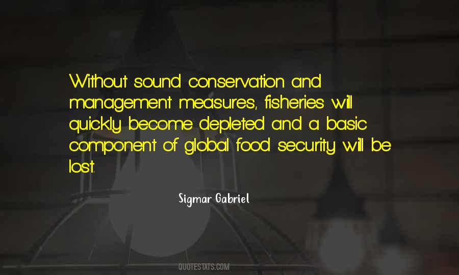 Sigmar Gabriel Quotes #775231