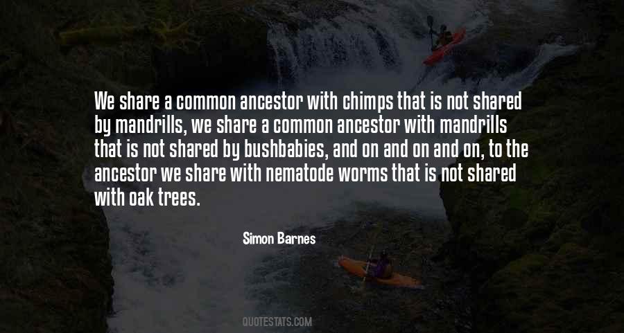Simon Barnes Quotes #1131108