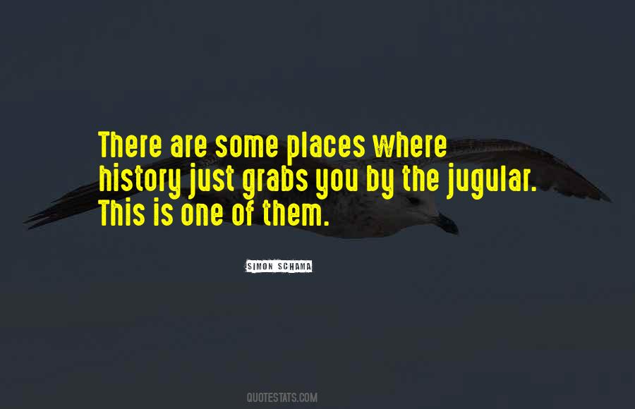 Simon Schama Quotes #1087721