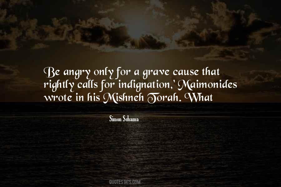 Simon Schama Quotes #797614