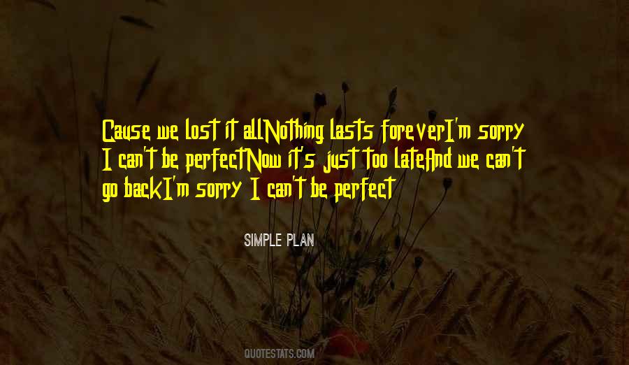 Simple Plan Quotes #35117