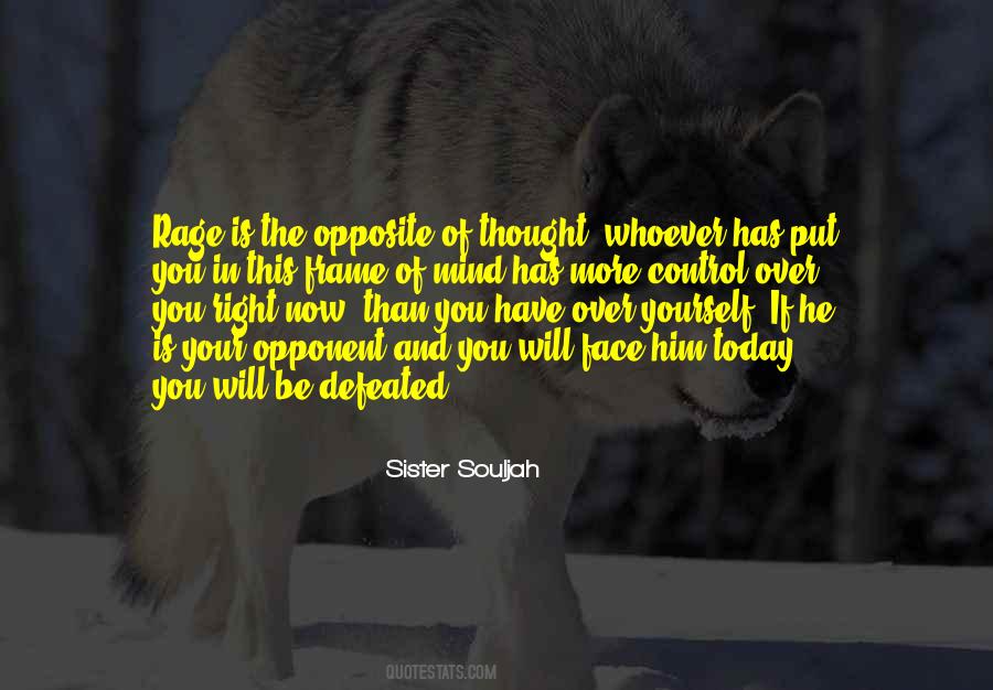 Sister Souljah Quotes #950171