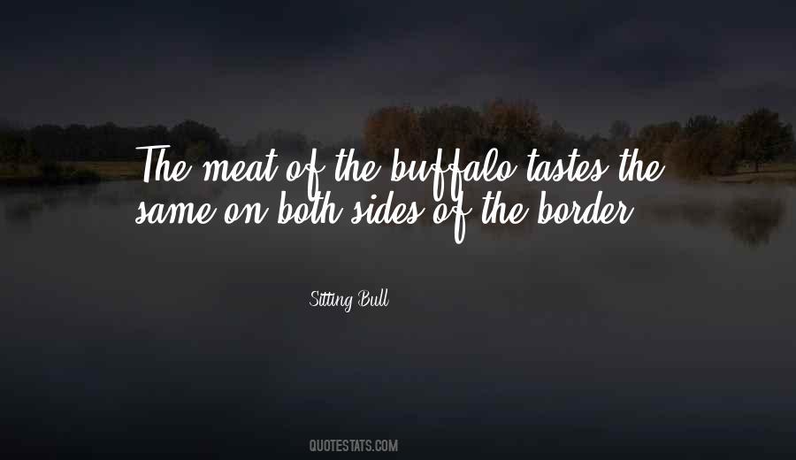 Sitting Bull Quotes #946110