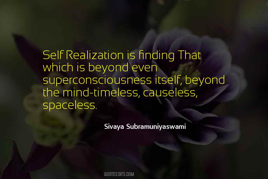 Sivaya Subramuniyaswami Quotes #1372897