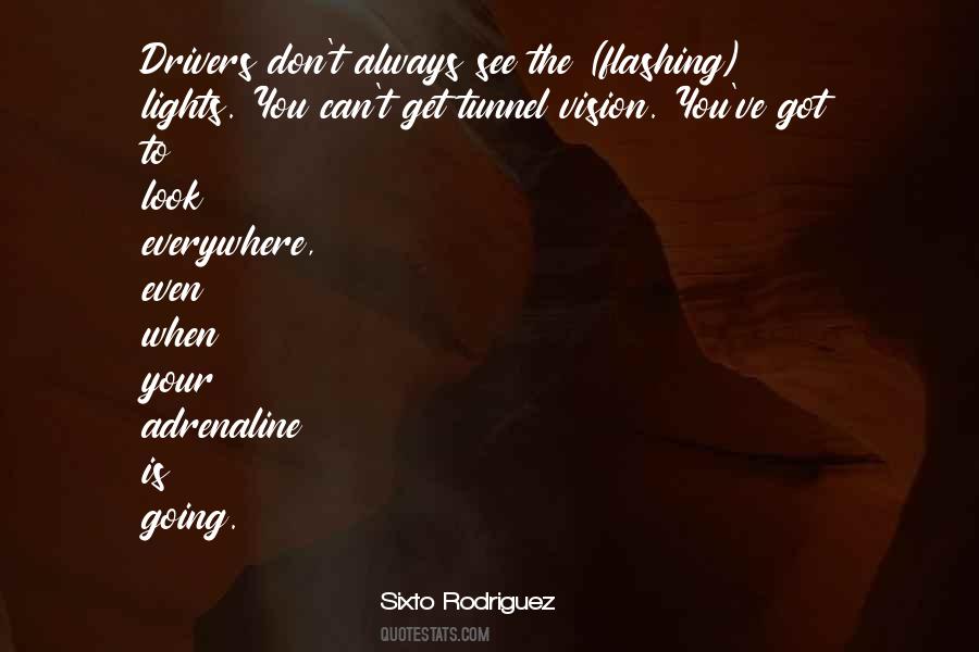 Sixto Rodriguez Quotes #828888