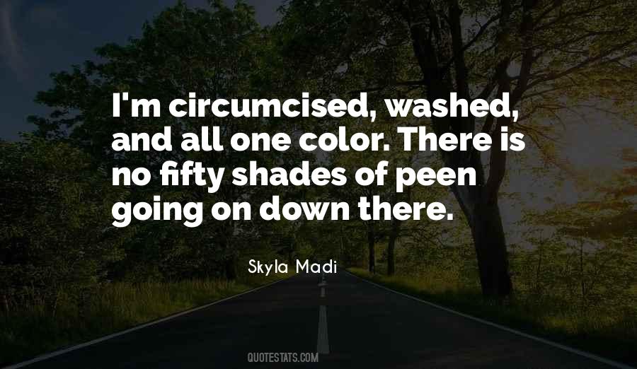 Skyla Madi Quotes #1465492