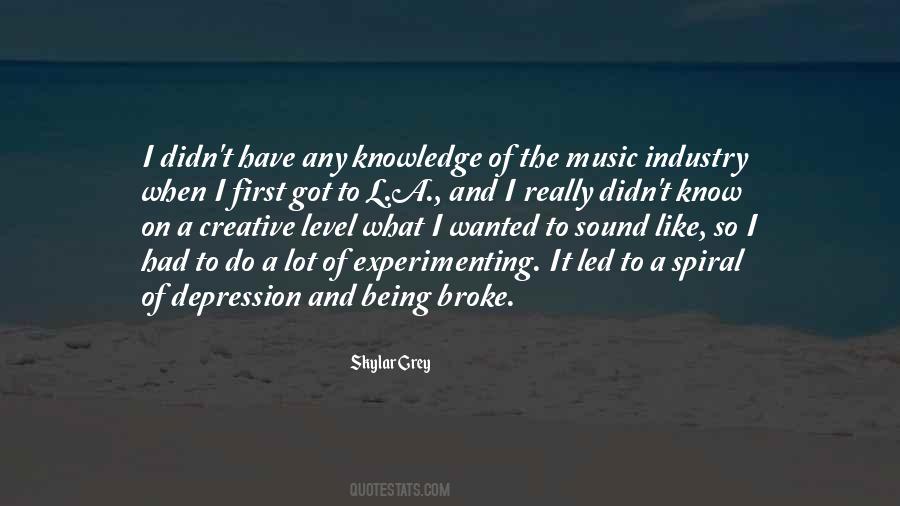 Skylar Grey Quotes #1004737