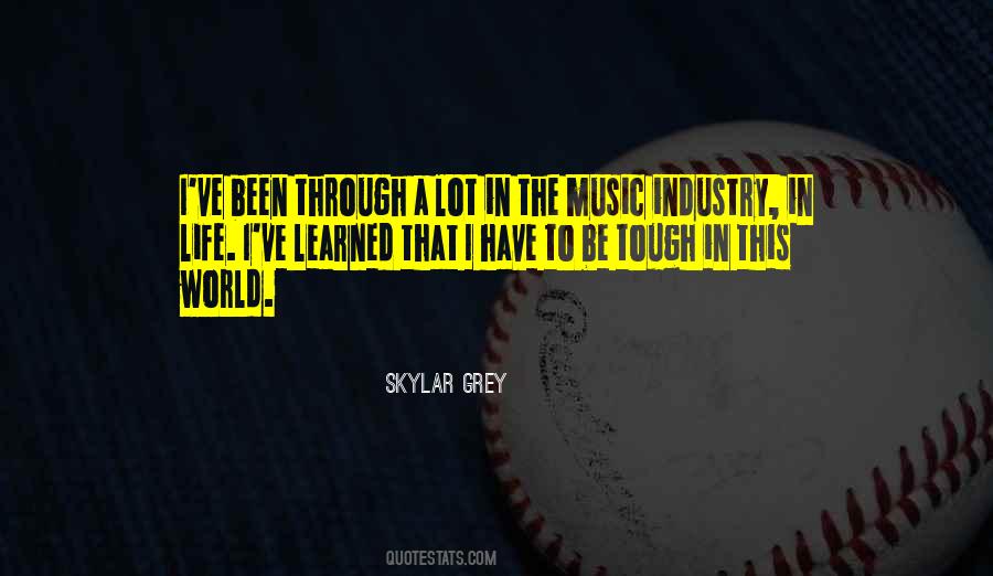 Skylar Grey Quotes #1841916