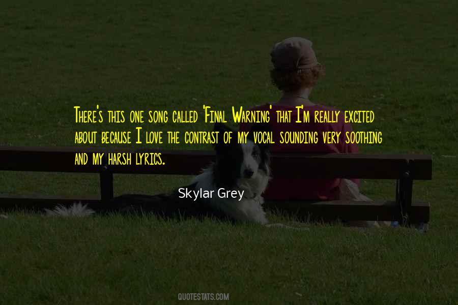 Skylar Grey Quotes #942140