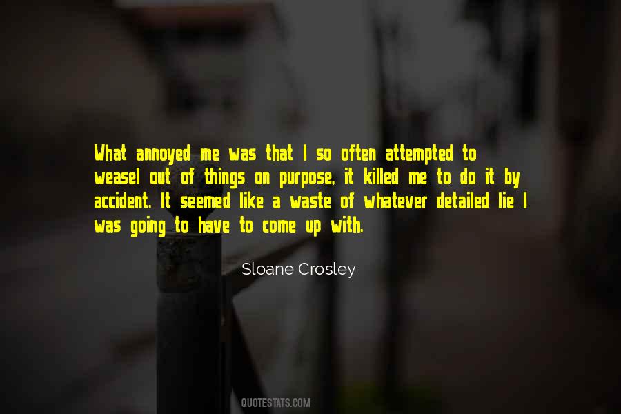 Sloane Crosley Quotes #1539500