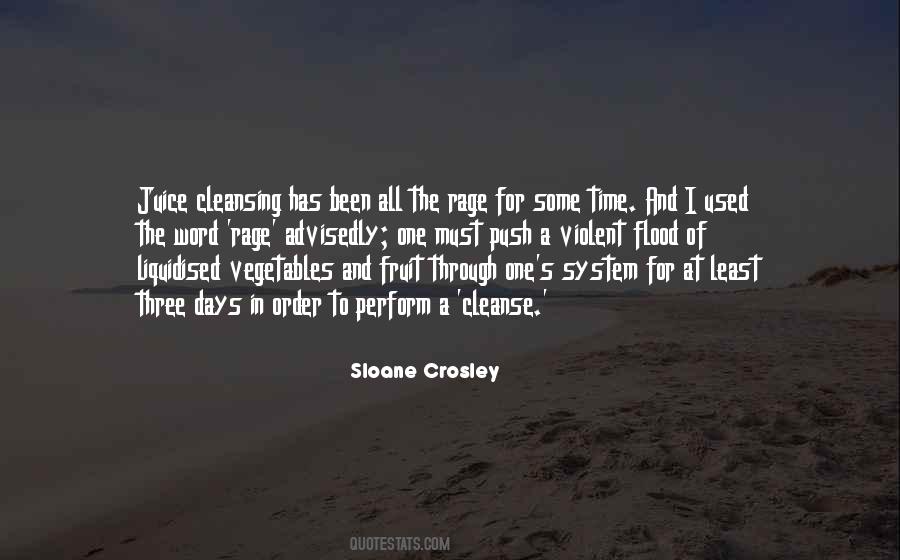 Sloane Crosley Quotes #1818855