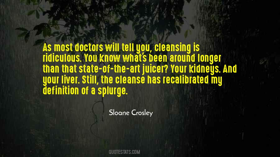 Sloane Crosley Quotes #3434