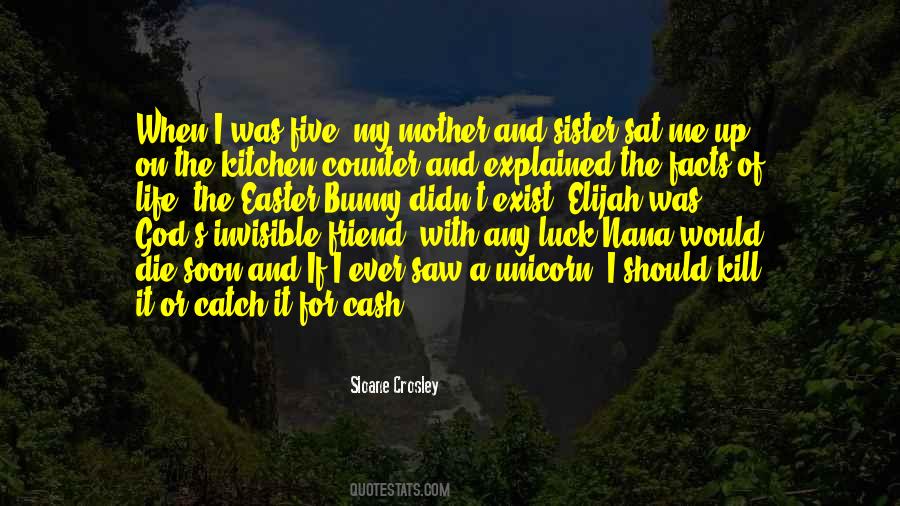 Sloane Crosley Quotes #417034