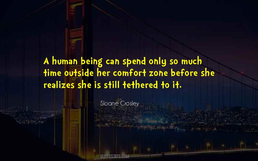 Sloane Crosley Quotes #910806