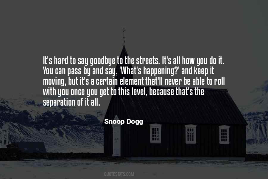 Snoop Dogg Quotes #58536