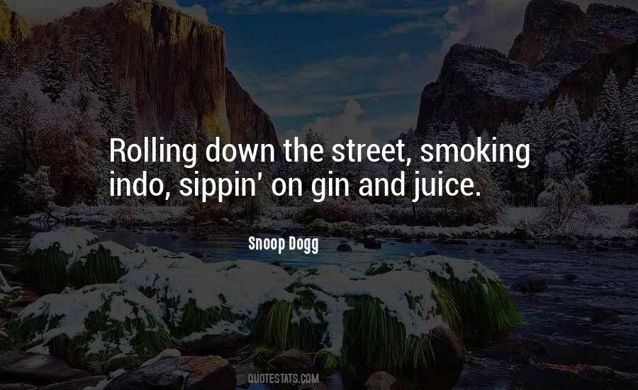 Snoop Dogg Quotes #733196