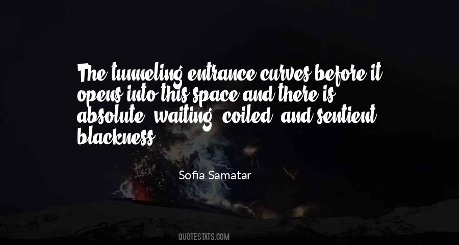 Sofia Samatar Quotes #401068