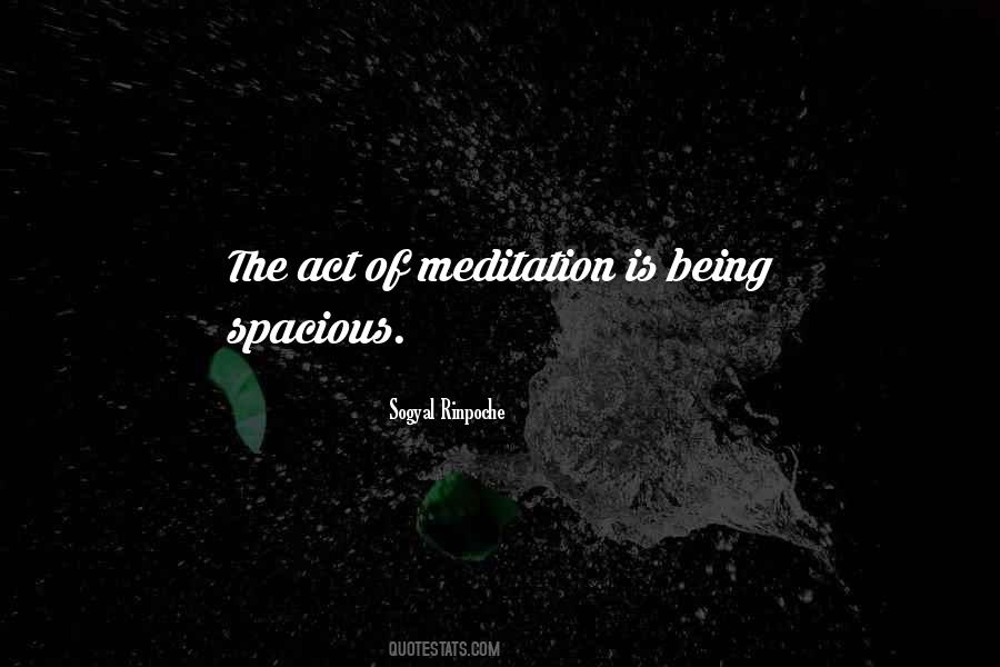 Sogyal Rinpoche Quotes #1117760