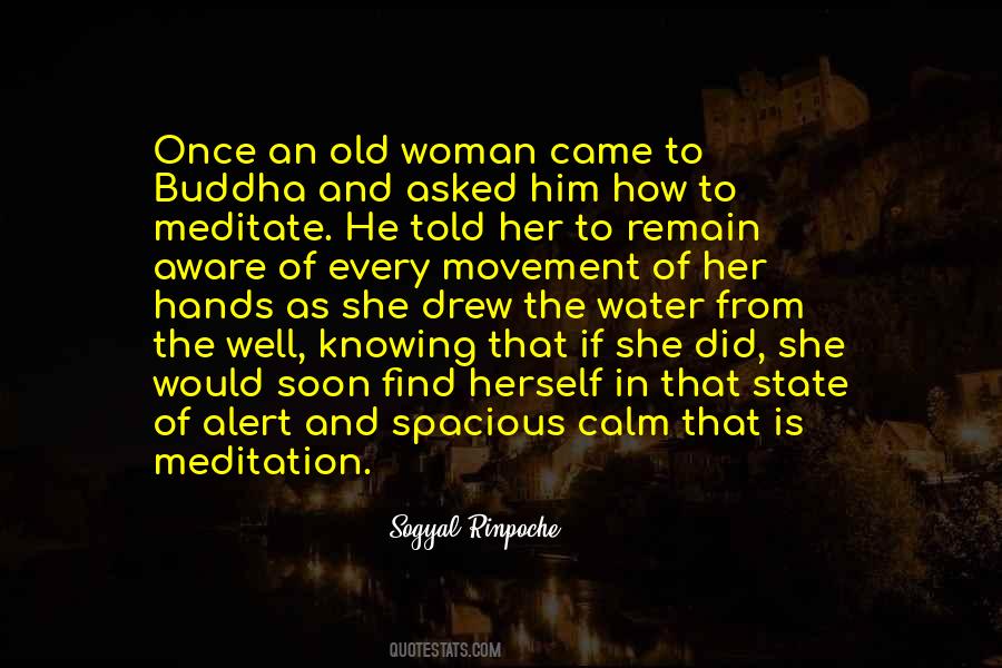 Sogyal Rinpoche Quotes #1201839