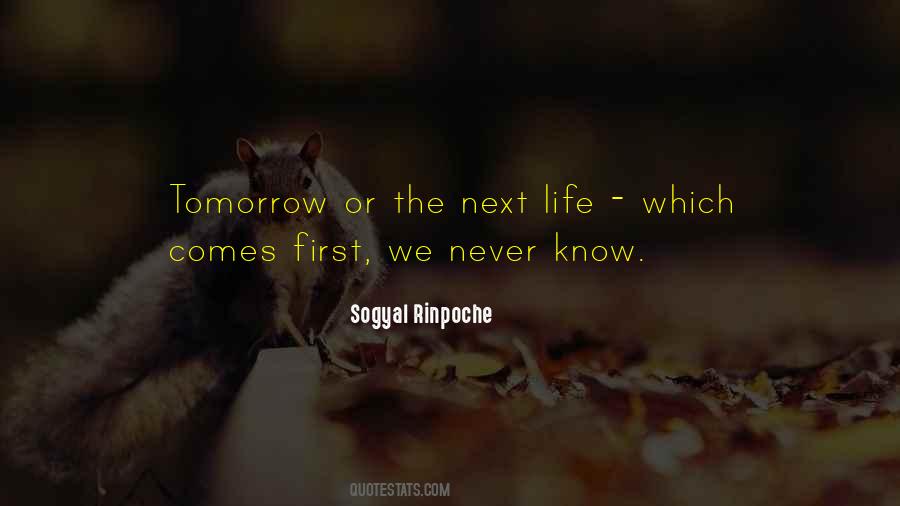 Sogyal Rinpoche Quotes #1233037