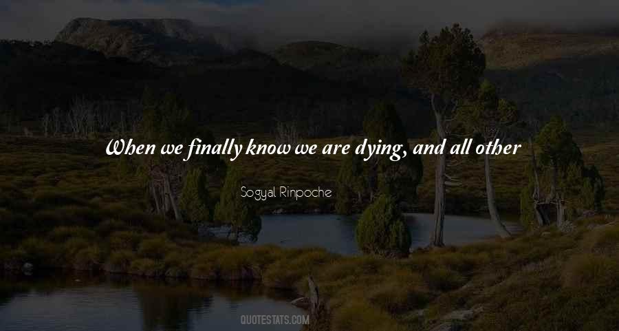 Sogyal Rinpoche Quotes #1509528