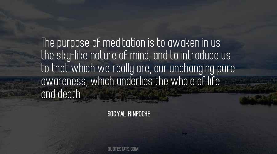 Sogyal Rinpoche Quotes #1517450