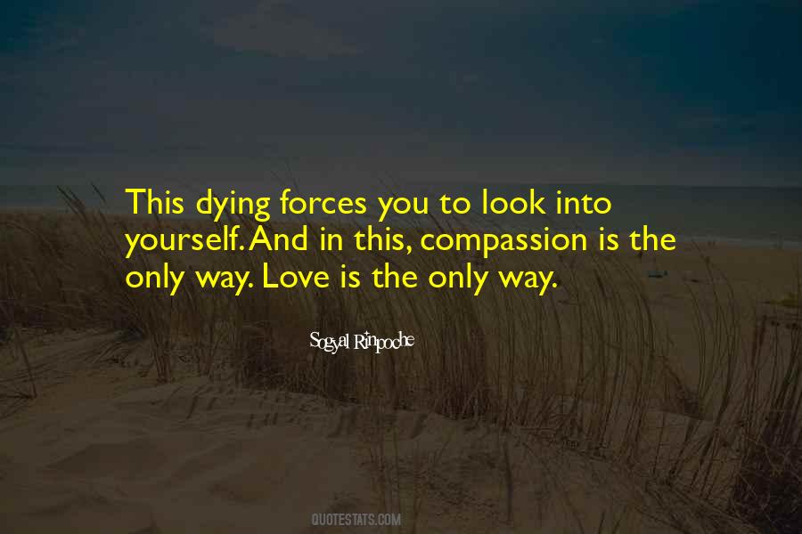 Sogyal Rinpoche Quotes #152017