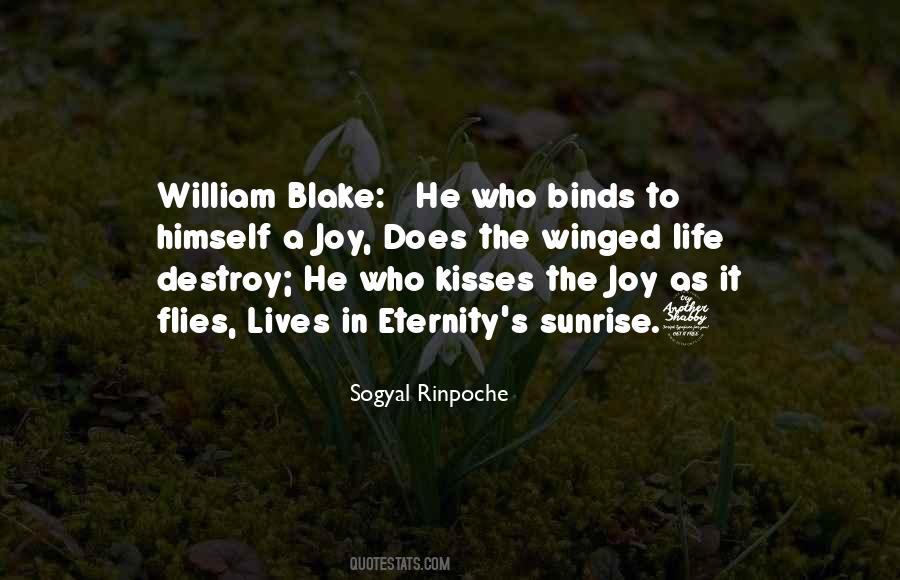 Sogyal Rinpoche Quotes #1594098
