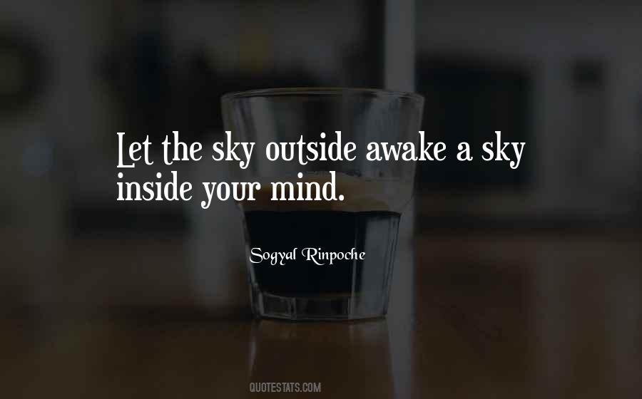 Sogyal Rinpoche Quotes #348054