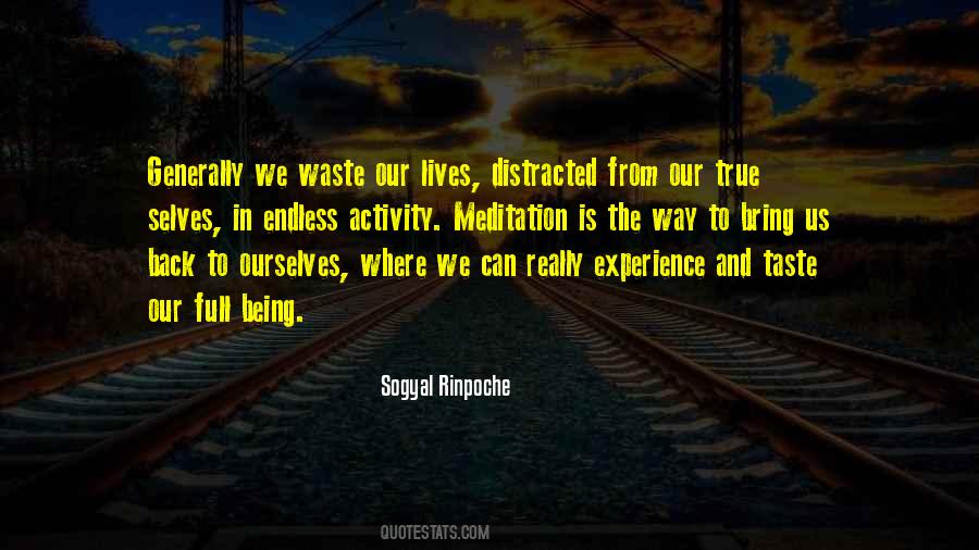 Sogyal Rinpoche Quotes #378653