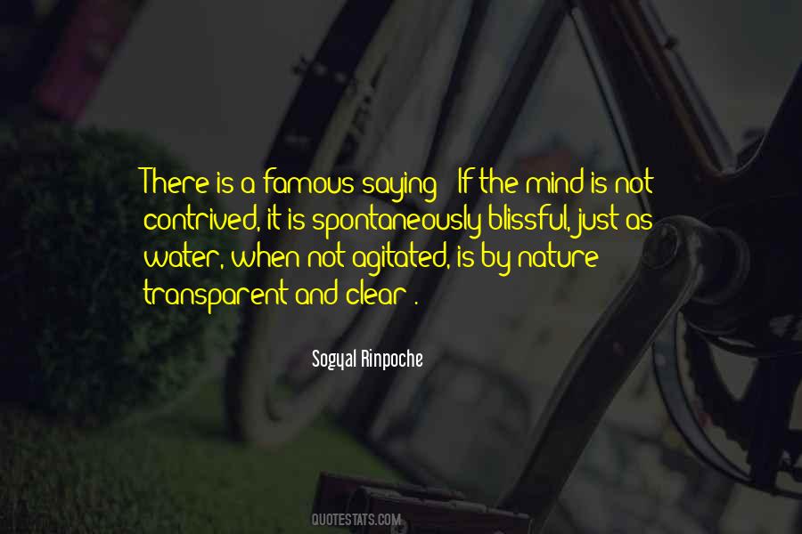 Sogyal Rinpoche Quotes #381975
