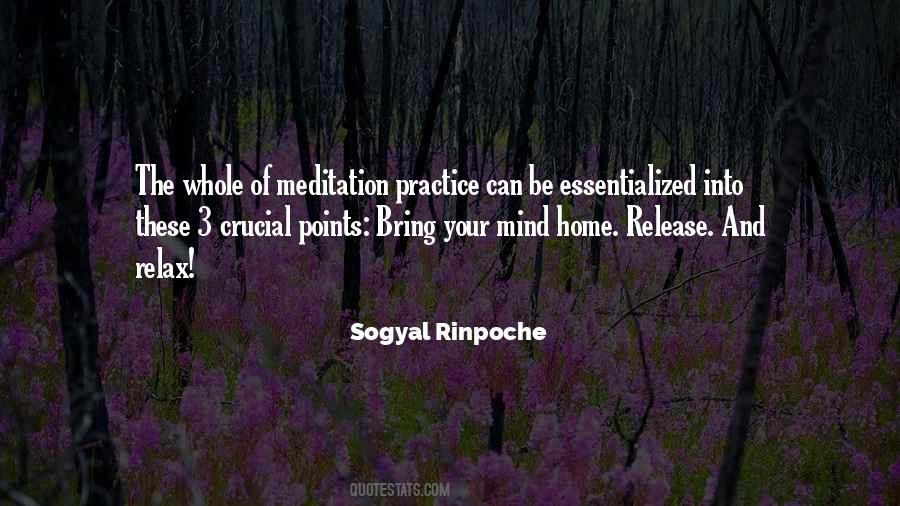 Sogyal Rinpoche Quotes #403404