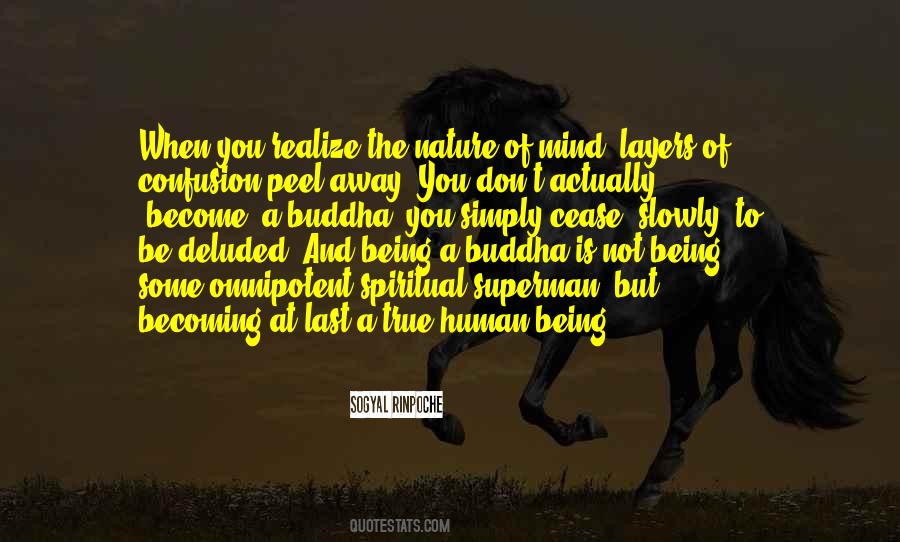 Sogyal Rinpoche Quotes #651947