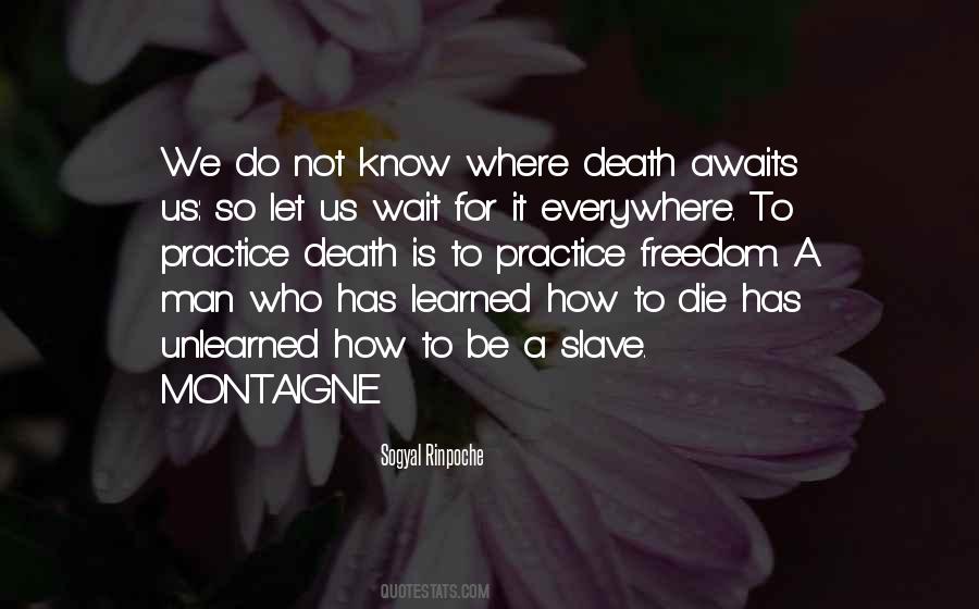 Sogyal Rinpoche Quotes #764778