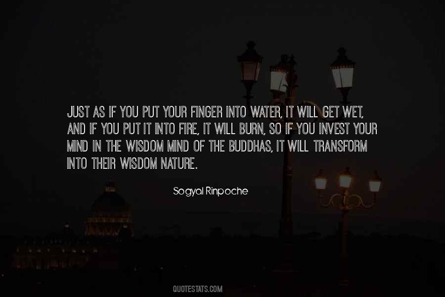 Sogyal Rinpoche Quotes #817130