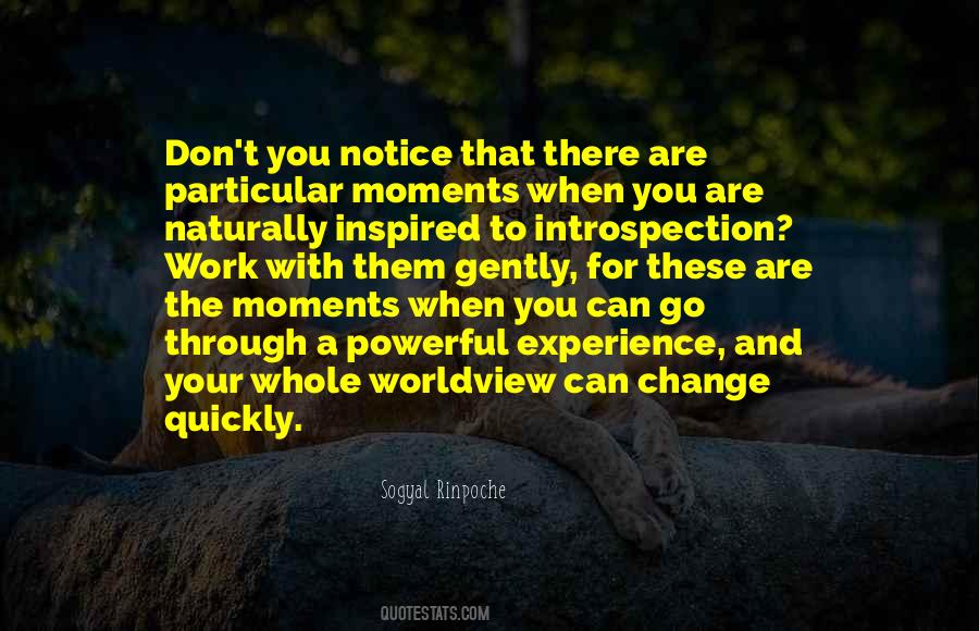 Sogyal Rinpoche Quotes #834815