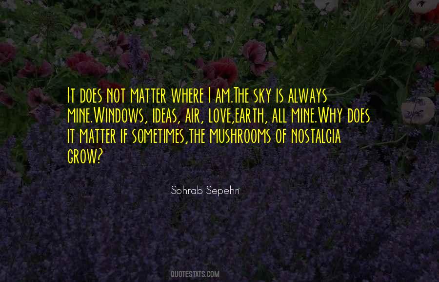 Sohrab Sepehri Quotes #224739