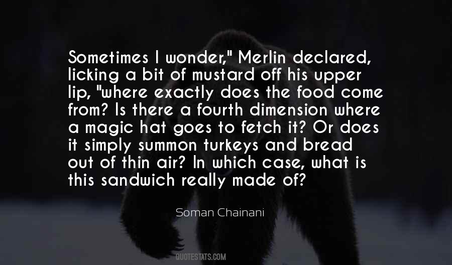 Soman Chainani Quotes #756234