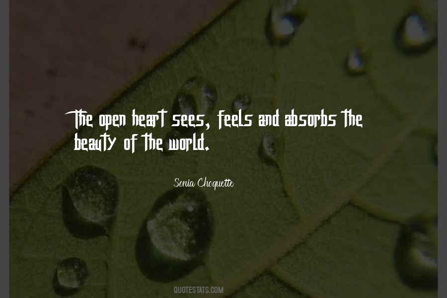 Sonia Choquette Quotes #1649222
