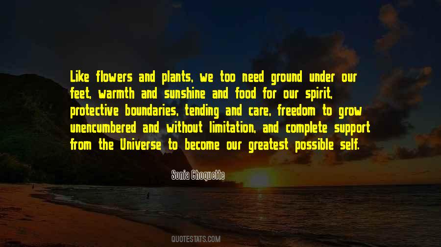Sonia Choquette Quotes #994443
