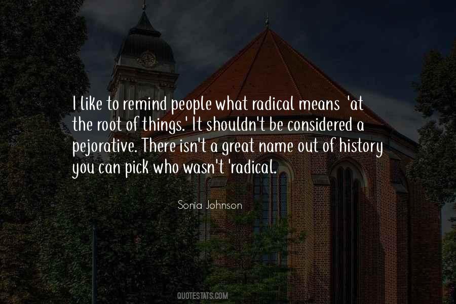 Sonia Johnson Quotes #617152