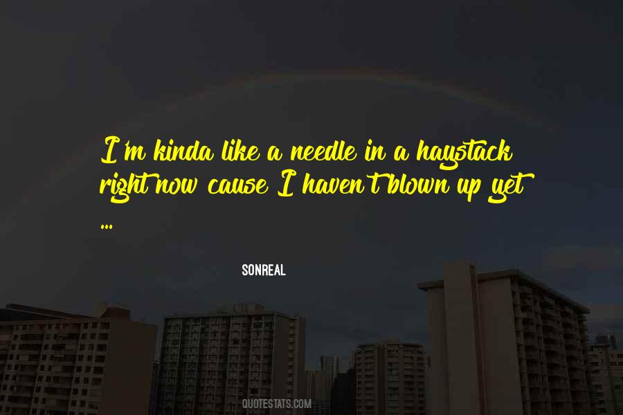 SonReal Quotes #640667